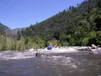 Rapid on Roger's Flat