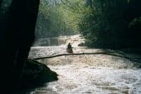 Last falls on Upper Glade Creek