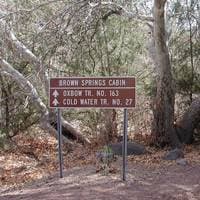 Take-Out Trail