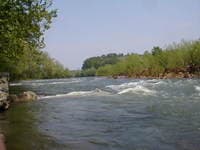 Lower Maury