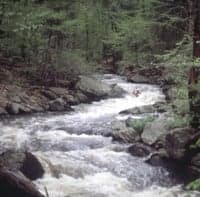 Another Rapid on the Black