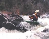 Eye Opener