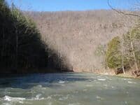 View on NF Holston