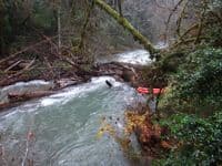 scary swim above the log jam