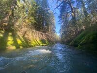 A beautiful mossy mini gorge 