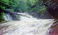 Steep Creekin' in NJ