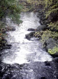 View from the bridge