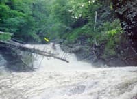 Clove Brook