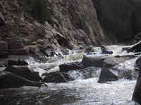 Alto Alto-Early Season