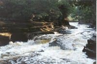 Looking up from Swinging Bridge on the mighty Presque Isle.