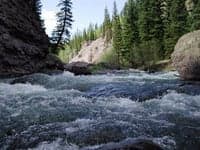 Pinnacles Rapid - river level