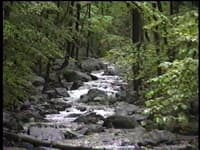 Is that a creek hiding up there?