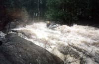 Suzy's Falls