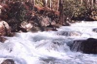 1st rapid on Middle Prong