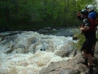 WI, Wolf, Scouting the Lower Dells