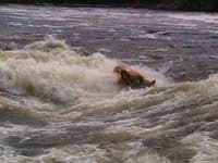 Ripping it up at Garvin's
