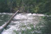What we saw when we scouted
