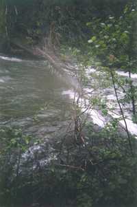 Another view from just upstream