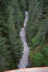 carbon river