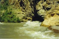 Typical rapid