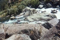 Another look from the Top of Ruck-A-Chucky Falls