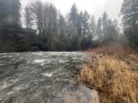 Portage