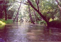 Typical Section