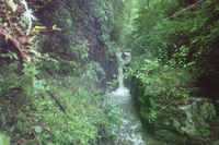 Mandatory Portage