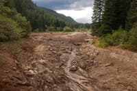 Restoring Trout Creek