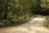 Forest Road 2880 Bridge