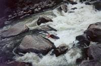 Beginning Gore Rapid
