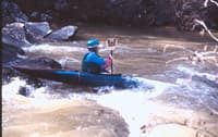  the rapids start