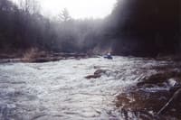 Deer Creek rapid