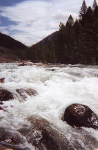 Bear Creek, MT