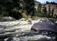 Rapid on the Klamath