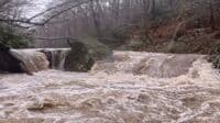 One of the Rapids on the Upper Yadkin