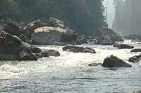 ELF Flows on Selway