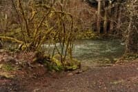 Access Trail to River