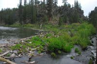 Log Jam Immediately Downstream of Take-Out