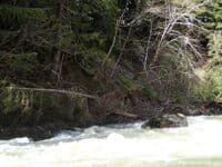 Wood at the bottom right in one of the crux rapids