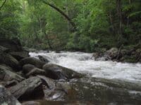 Upper Pedlar