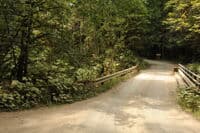Forest Road 2880 Bridge