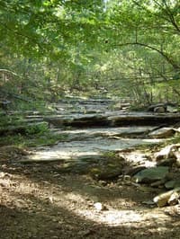 Creek bed after first bend