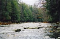 Laurel Hill Creek- Whipkey dam to covered bridge