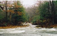 Laurel Hill Creek-Whipkey dam to covered bridge