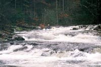 Third good Conasauga rapid