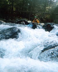 Hohol on the Conasauga