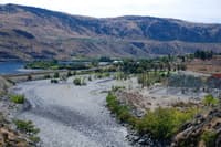 Dewatered Chelan