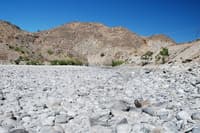Dewatered Chelan