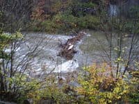 Little Walker Creek